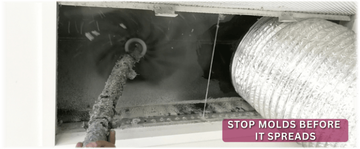 Air Duct Mold Removal in Chandler