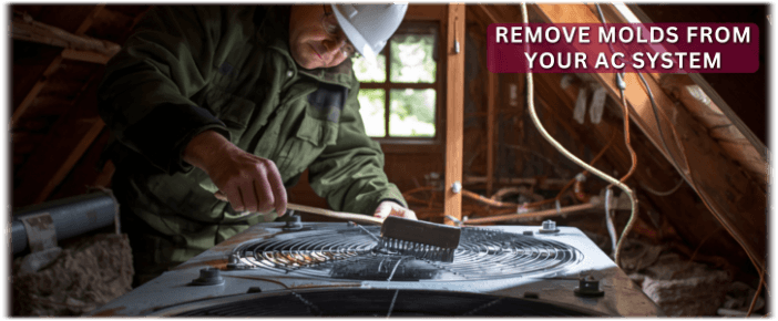 HVAC Mold Removal Chandler